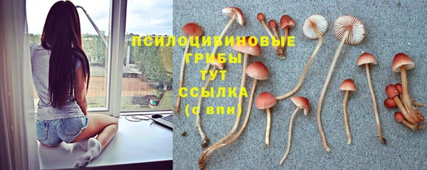 прущие грибы Алексеевка