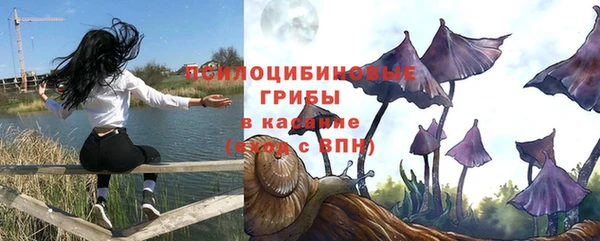 прущие грибы Алексеевка