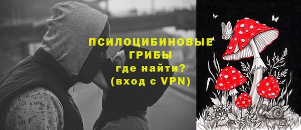 прущие грибы Алексеевка