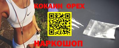 гашик Гатчина