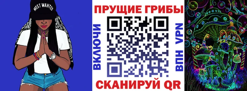 Галлюциногенные грибы прущие грибы  Павловский Посад 